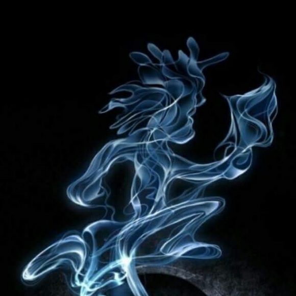 Meet your Posher, Josh - Picture 1 of 1